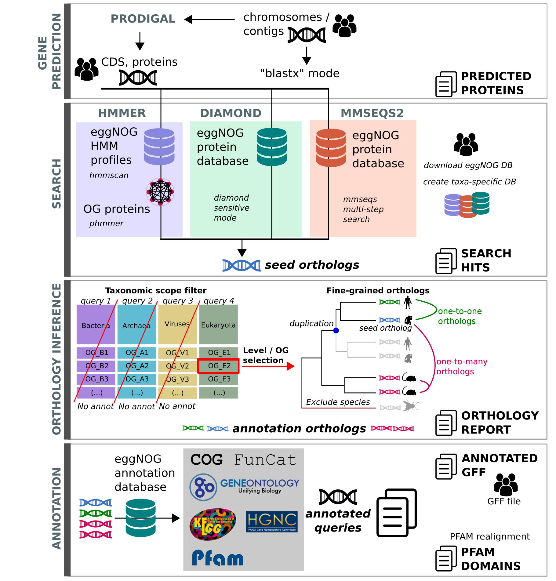 emapper_workflow